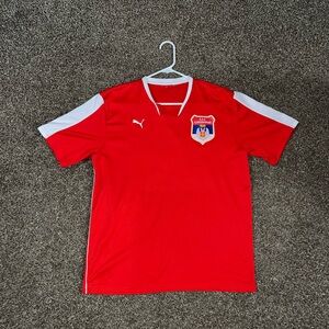 Puma Soccer Serbian White Eagles Vintage OG Red White Blue Jersey T Shirt